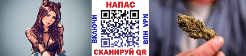 MEGA онион  цены   Полярные Зори  Конопля конопля 